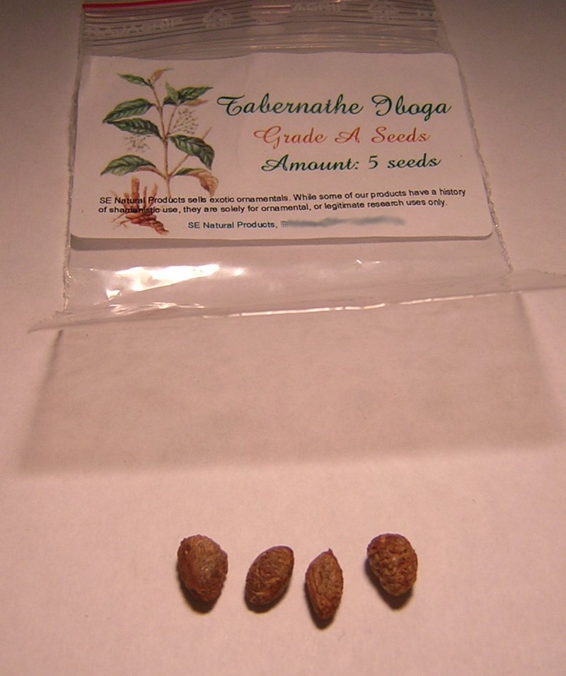 Tabernanthe Iboga seeds